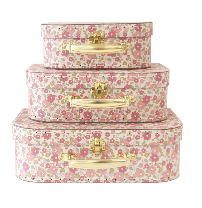 ALIMROSE KIDS CARRY CASE SET